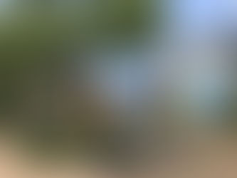 アグリっ子も来てくれました!ワンワンフェスタ~enjoy wan party ~