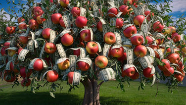 Creating New Fruit Varieties and Making Millions: The Ultimate Guide