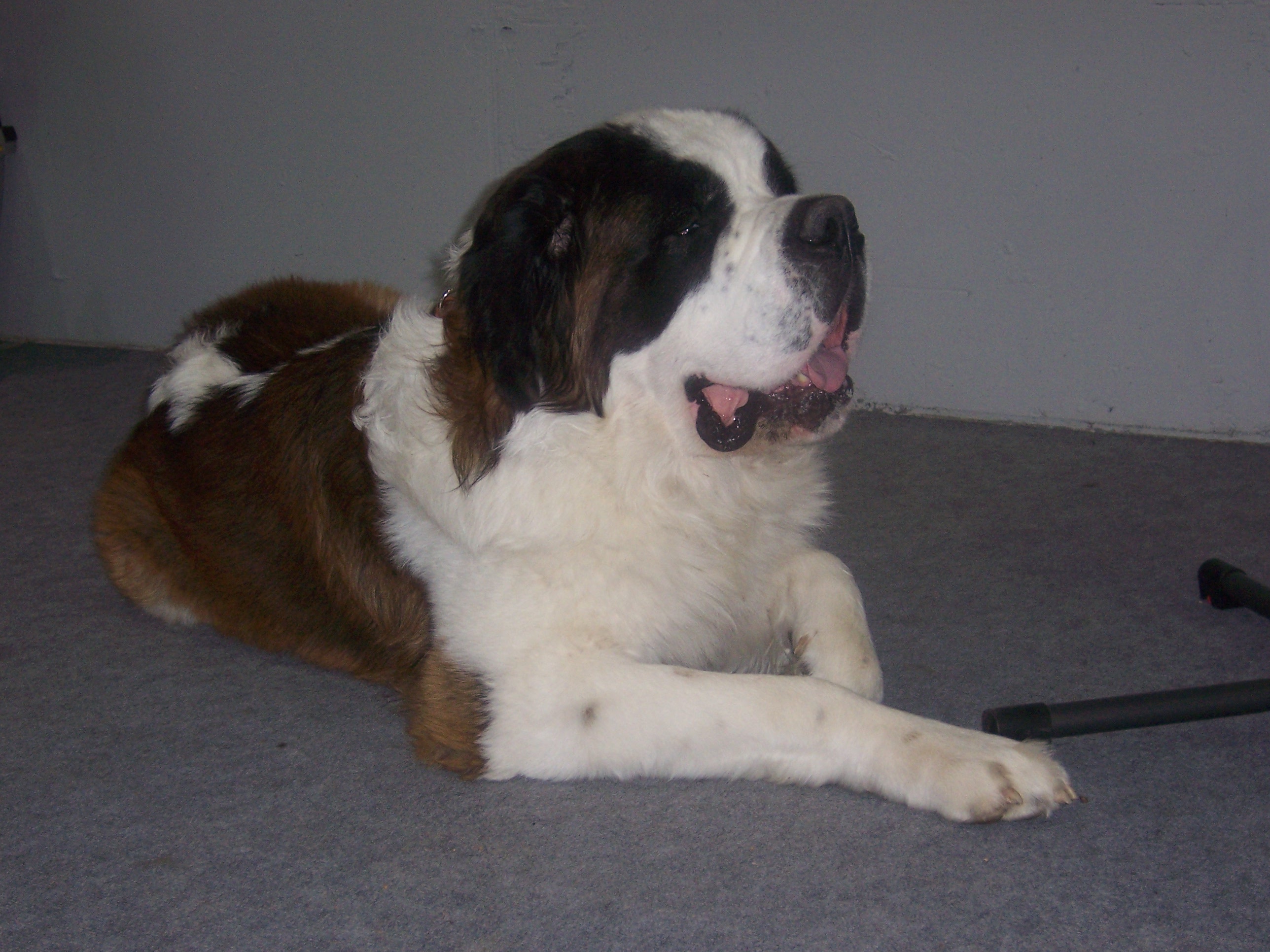 Igor mit 3 Jahren