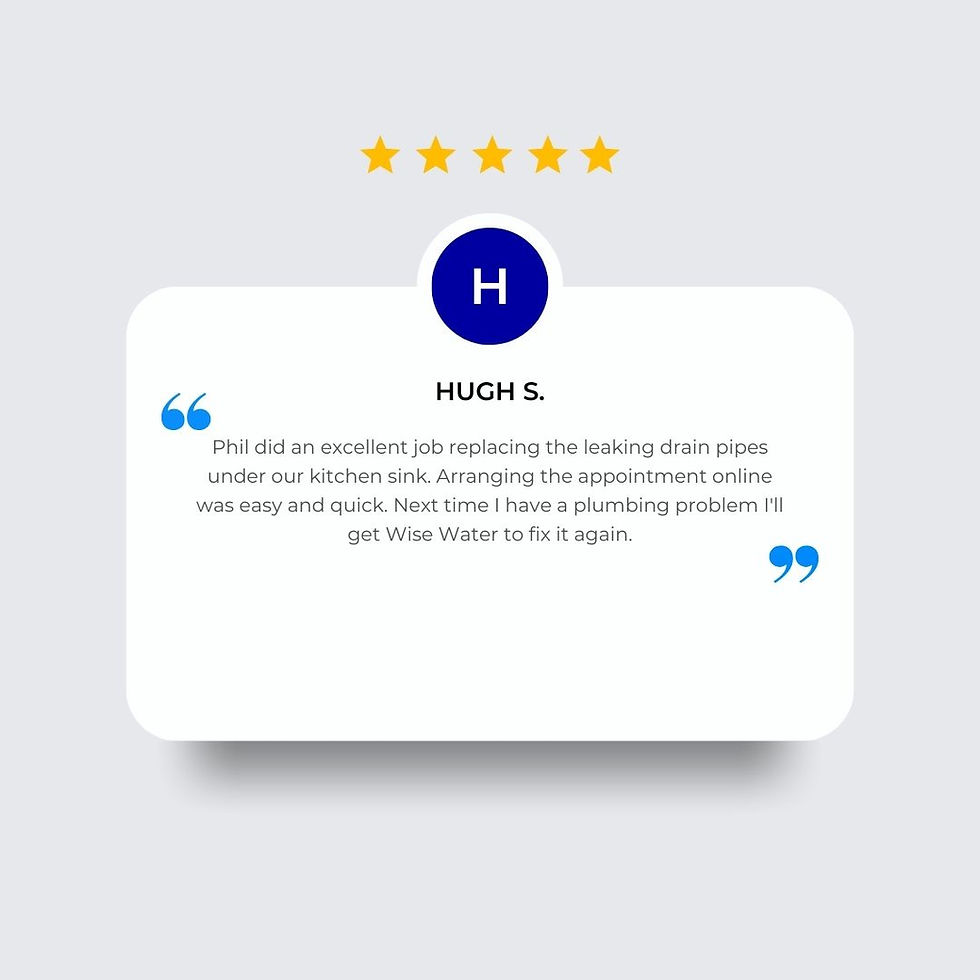 WiseWater Plumbing Customer Review 6