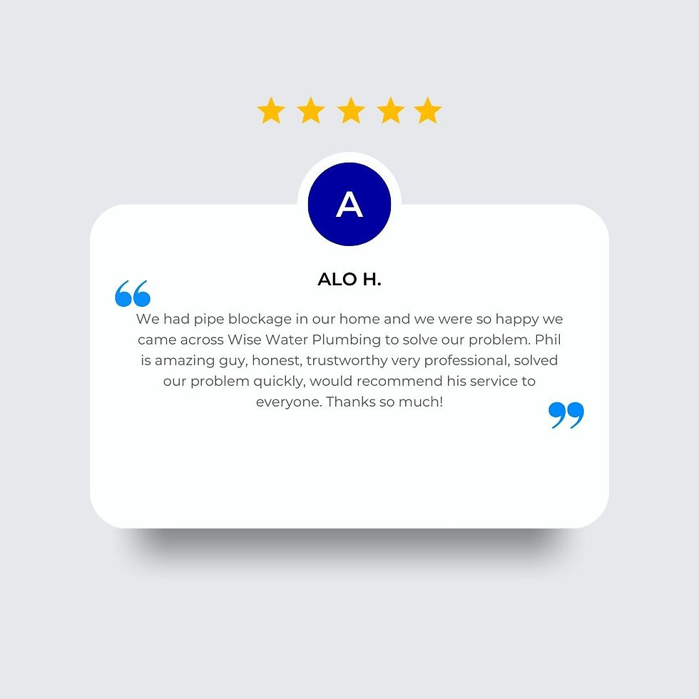 WiseWater Plumbing Customer Review 4