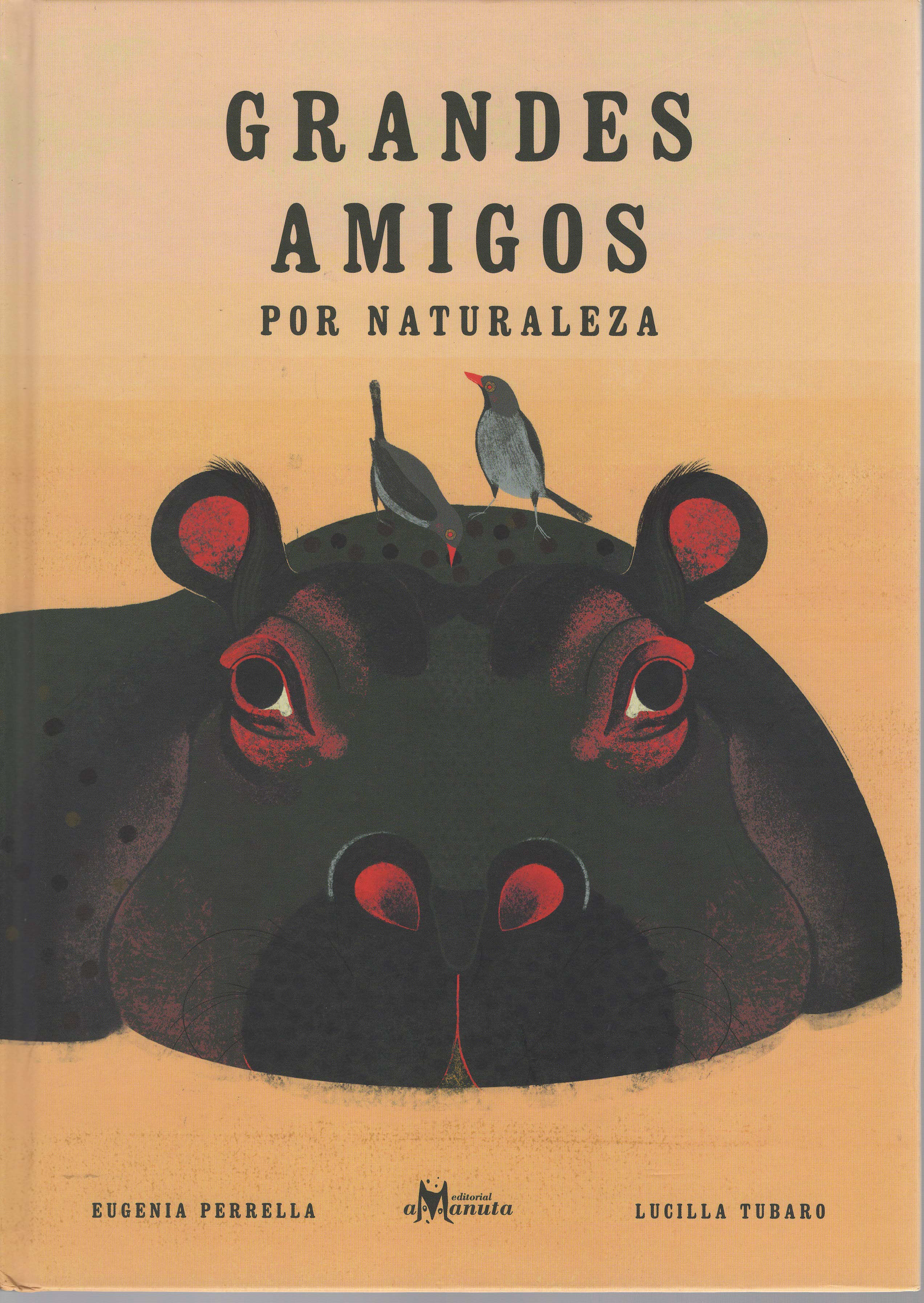 Libro grandes amigos
