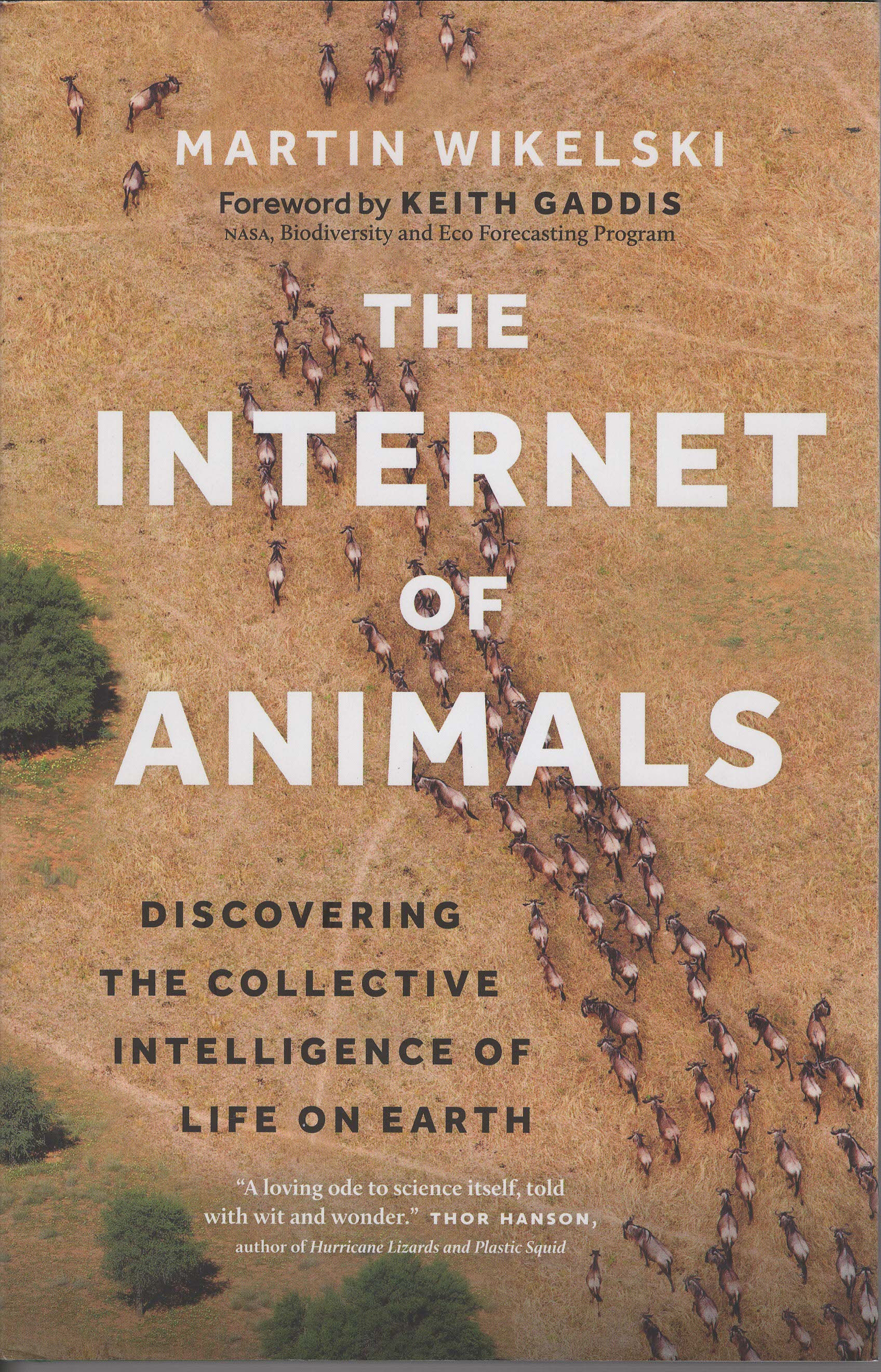 The Internet of Animals: Discovering the Collective Intelligence of Life on Eart