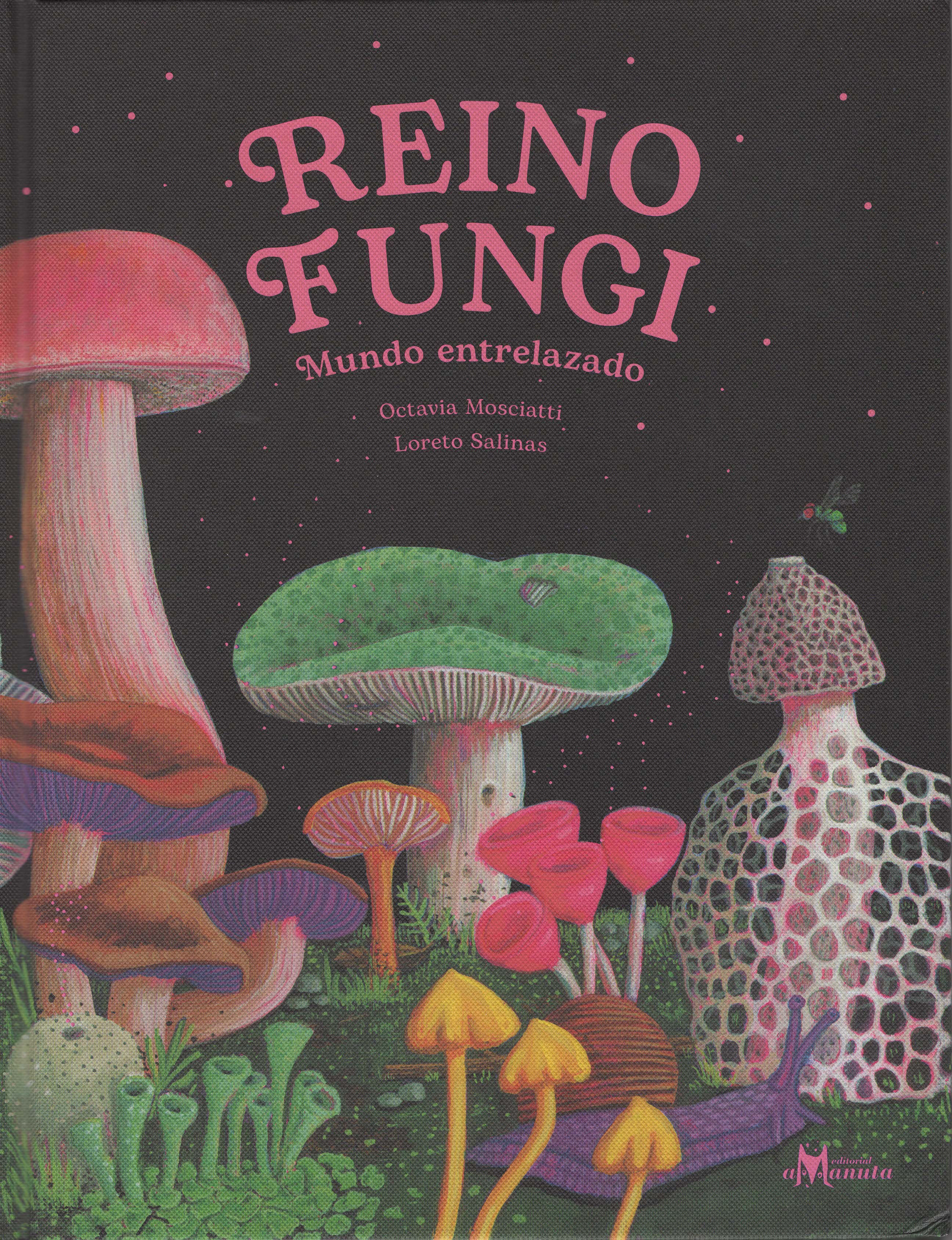 Reino Fungi