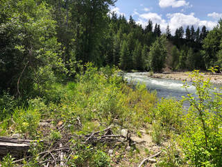 River15.jpeg