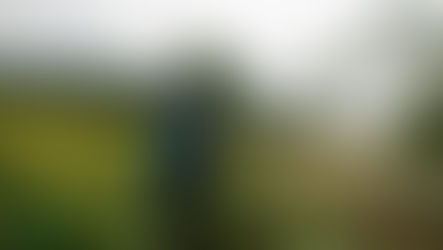 Empaque y Distribución de la Flor de Cempasúchil con Cartón Corrugado en el Día de los Muertos 