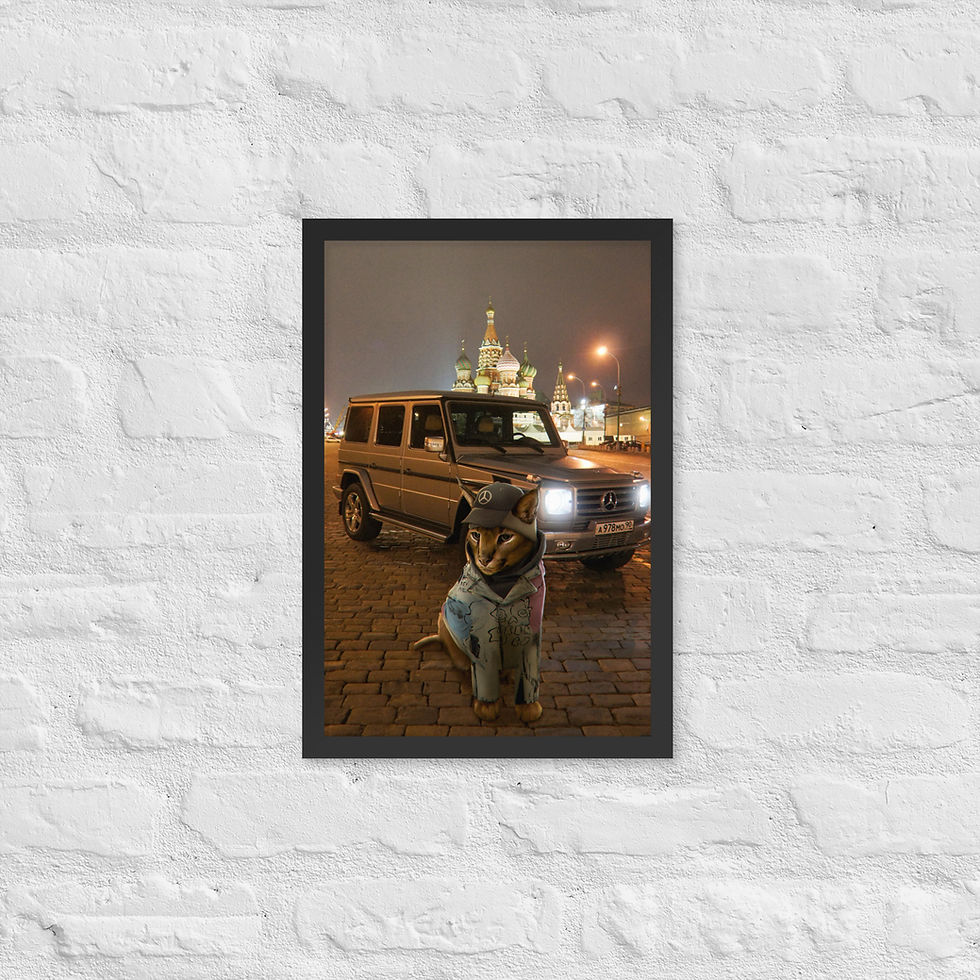 Thumbnail: Framed poster "Russian Mostwanted"