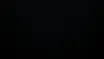 wp3597523.webp