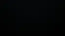 wp3597523.webp