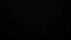 wp3597523.webp