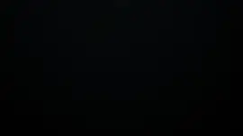 wp3597523.webp