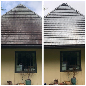 Roof Wash