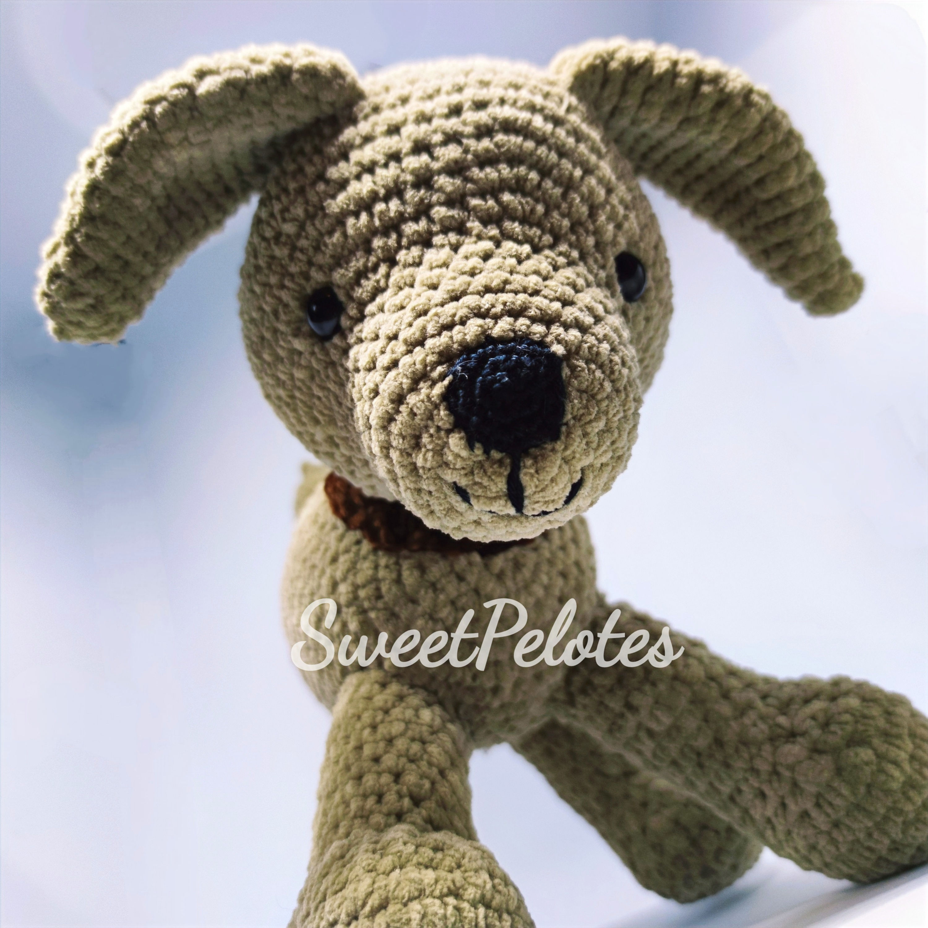 Billy Le TouTou 🐶