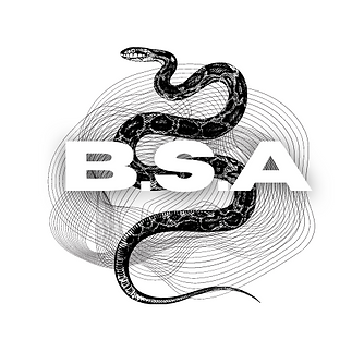 BLACKSPIRALLOGO1.png