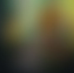 Eastland 2025 Season Review | Bayswater FNC