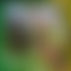 Yarra Valley Water InFocus 2026 | Mooroolbark