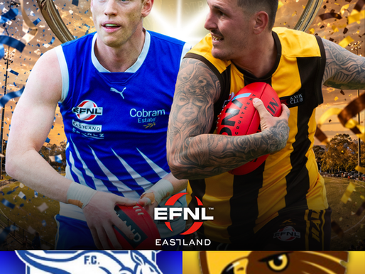 2026 Premier Division Grand Final Preview