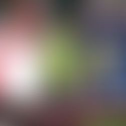 Former EFNL Umpire James Rizio promoted to AFL List