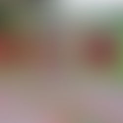 VM & Display Show '26 : Exhibitors