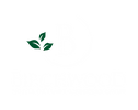 Birchwood Logo - White - No Slogan.png