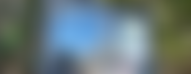 Informational sign about the Gumbo Limbo trail in the Everglades