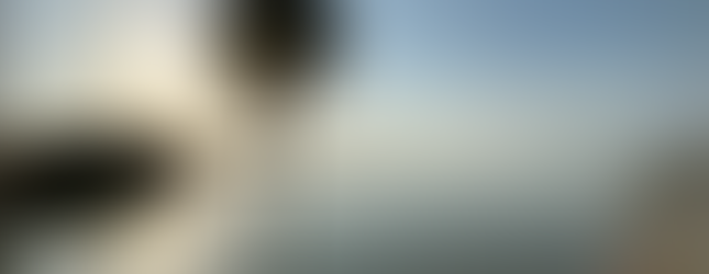 Sunrise view over the bay with a palm tree as seen from the observation platform at the Guy Bradley Visitor Center