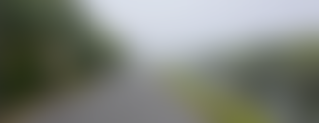 Paved tram trail at shark valley