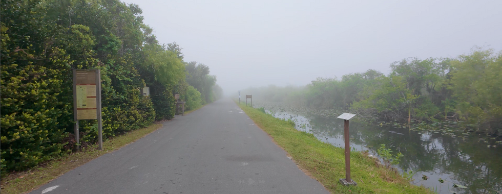 Paved tram trail at shark valley