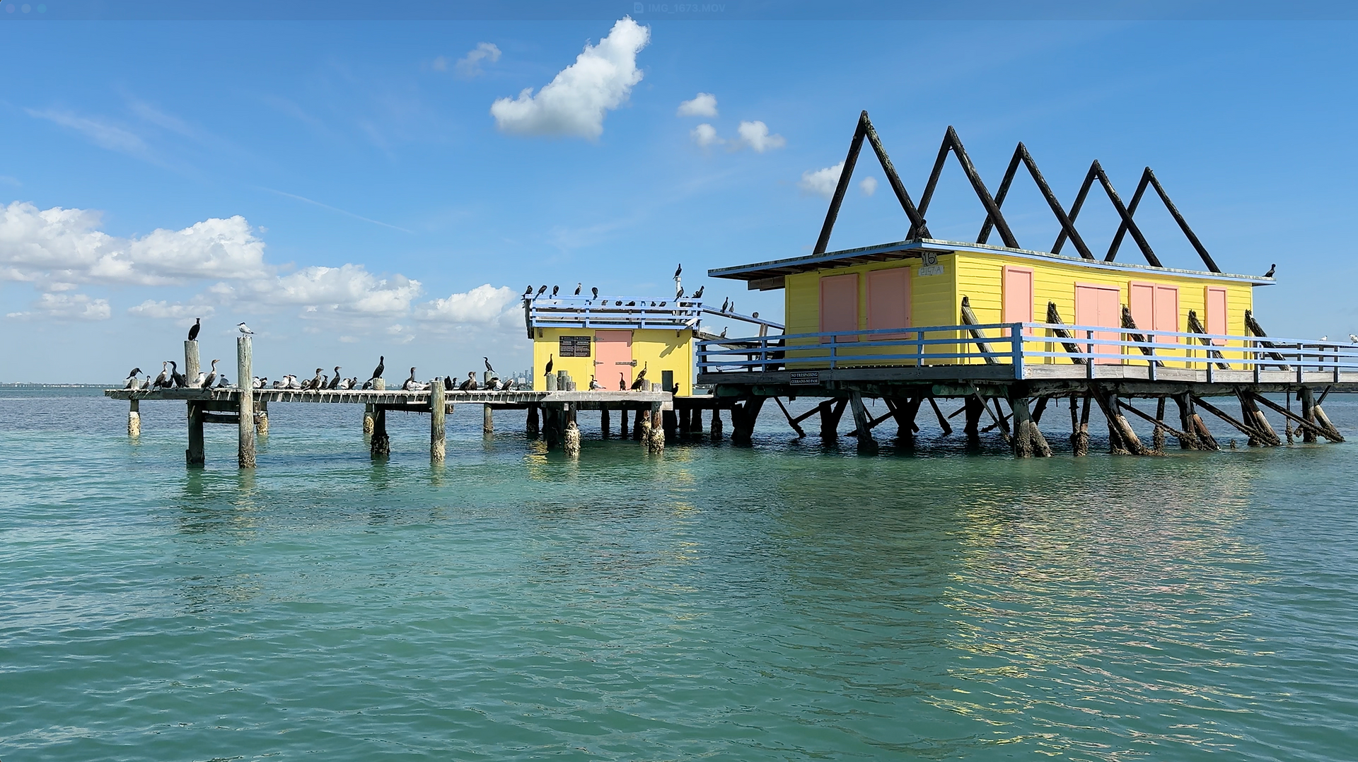 A yellow stiltsville house with an A frame with birds resting on the dock