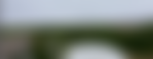 View from the Shark Valley Observation Tower