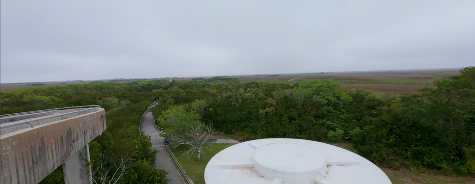 View from the Shark Valley Observation Tower