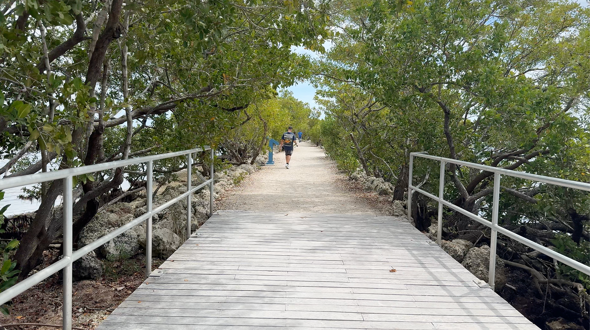A trail leading down the Convey Point Jetty Trail