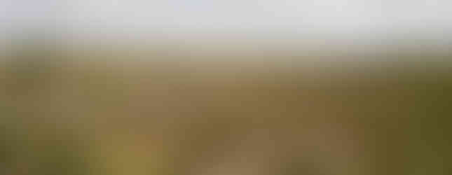 People walking on a boardwalk over a sawgrass prairie on the Pa-Hay-Okee Trail in the Everglades