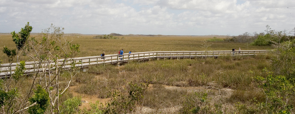 People walking on a boardwalk over a sawgrass prairie on the Pa-Hay-Okee Trail in the Everglades