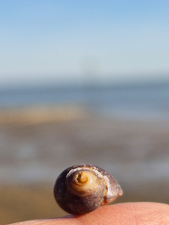 20250406_162916C.jpg