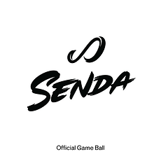 Official Game Ball