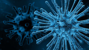 Vaccine Development