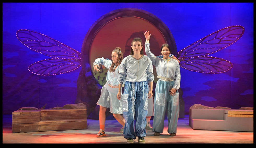 Thumbnail: Coming Soon 2026 / The Dragonflies of May / Goshen Theater