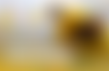 Balancing Creativity and Functionality: The Essence of UI/UX Design