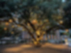Fareground’s lush outdoor seating area with stylish furniture, a perfect pet-friendly venue in Austin.