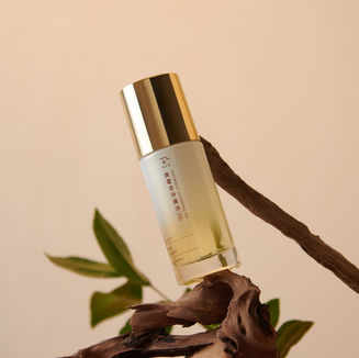 604851482_1247212267431657_3664431820694320487_n