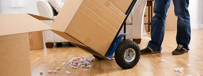 Hire Mango Moving Labor for Moving Services in Hillsborough 33612, Tampa 33612, Moving help 33612,Moving Services, Hillsborough County, 33612