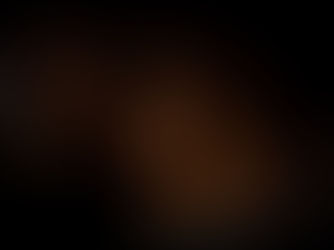 Bangladesh. Day 9 - “A spot of tea?” and Black Lung Disease