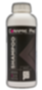 Ceramic Pro Shampoo
