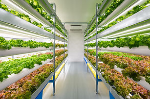 アグリテック,フードテック,植物工場,小規模な水耕栽培装置,屋内の空きスペースに設置可能,手軽に始める農業,安く始める農業
