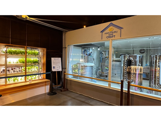 白鶴酒造との共創でバジルを使用したお酒の発売が開始します！