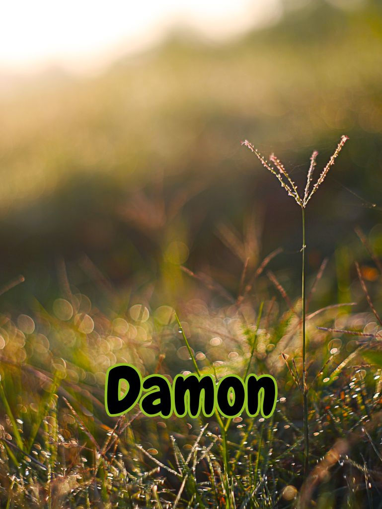 Director- photo coming soon