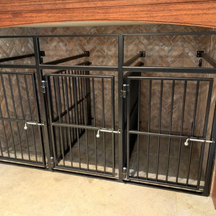 Custom Built Indoor Dog Kennels
