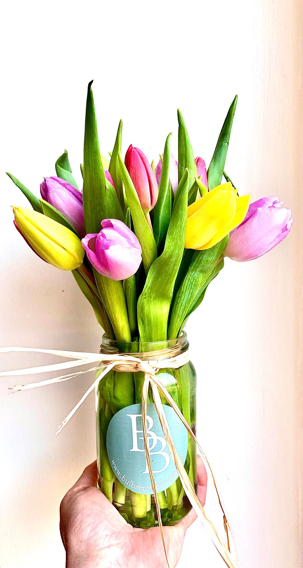 Tulips - Jam Jar