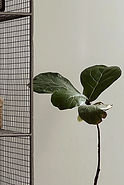 atelier.jpg